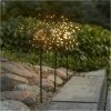 Utomhusdekoration Firework Outdoor Svart Star Trading – miniatyr 3