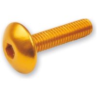 V PARTS screw allen M6x20 Gold