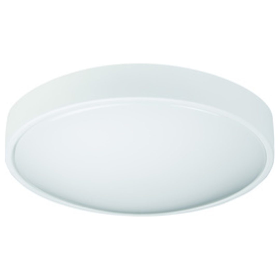Vägg- /Taklampa LED PLAFOND LENNOX 23W DALI Zebra