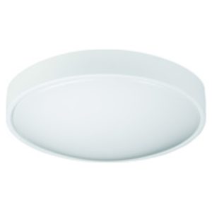 Vägg- /Taklampa LED Plafond Lennox 28W Multi Zebra