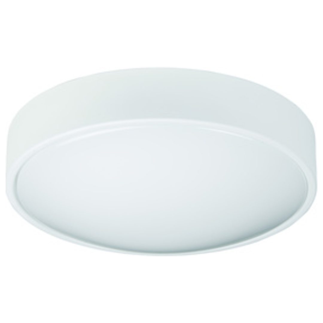Vägg- /Taklampa LED PLAFOND LENNOX IP44 19W Zebra
