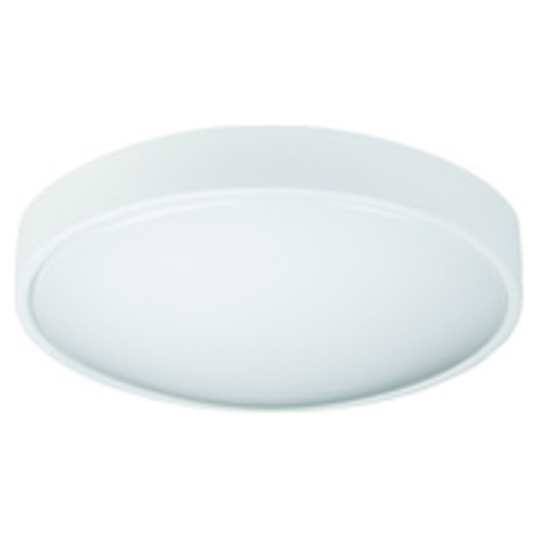 Vägg- /Taklampa LED Plafond Lennox Multi/Nöd Zebra
