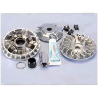 Variator Hi-Speed POLINI