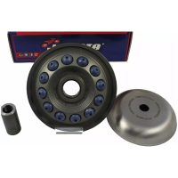 Variator Pro Series J. COSTA