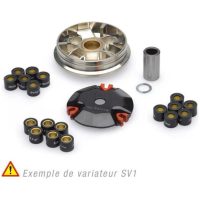 Variator SV1 JASIL