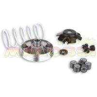 Variatorkit Multivar 2000 MALOSSI