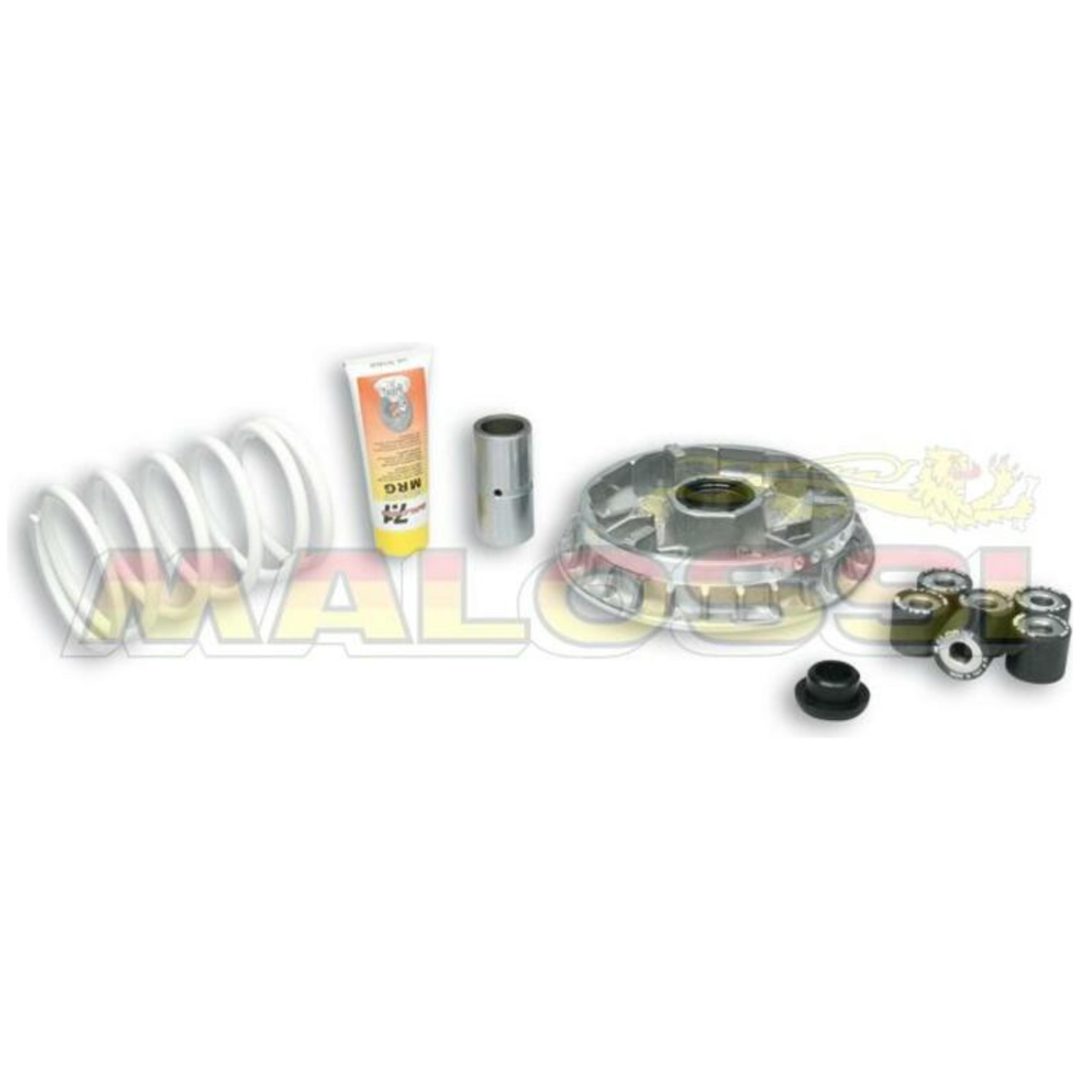 Variatorkit Multivar 2000 MALOSSI