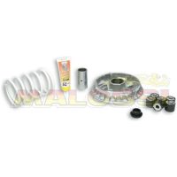 Variatorkit Multivar 2000 MALOSSI