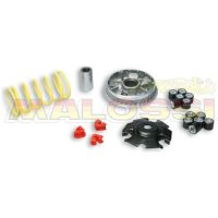 Variatorkit Multivar 2000 MALOSSI