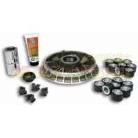 Variatorkit Multivar 2000 MALOSSI