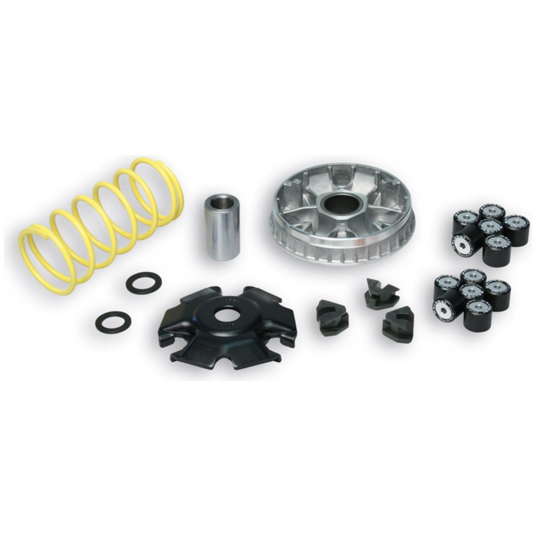 Variatorkit Multivar 2000 MALOSSI