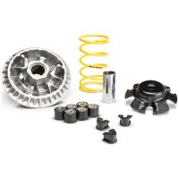Variatorkit Multivar 2000 MALOSSI