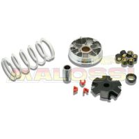 Variatorkit Multivar MALOSSI