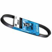 Variatorrem HP 3021 DAYCO