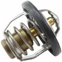Vattentermostat Tourmax