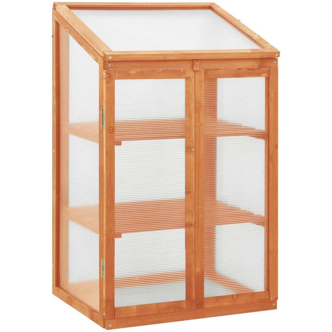 Växthus 60x45x100 cm granträ vidaXL