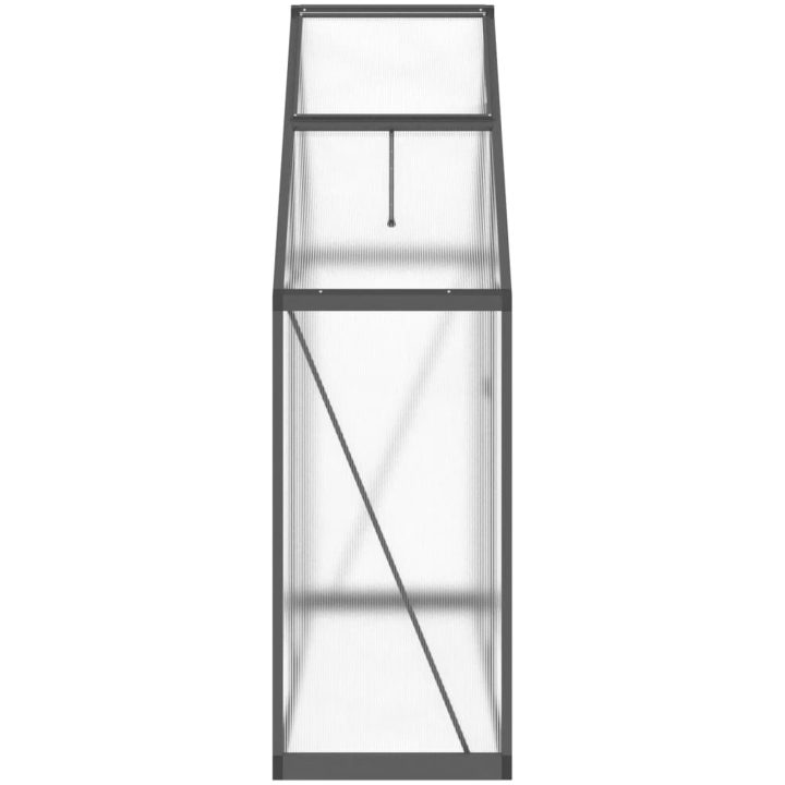 Växthus med ram antracit aluminium vidaXL 169 x 58 x 195 cm – bild 4