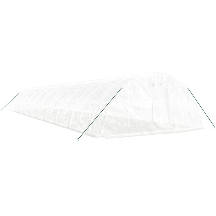 Växthus med stålram vit 100 m² vidaXL 20 x 5 x 2.3 m – bild 3
