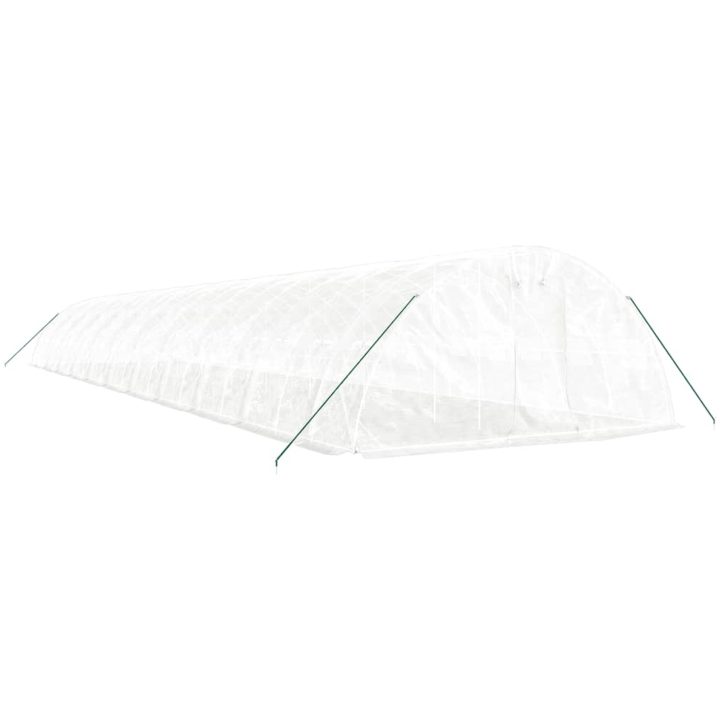 Växthus med stålram vit 110 m² vidaXL 22 x 5 x 2.3 m – bild 3
