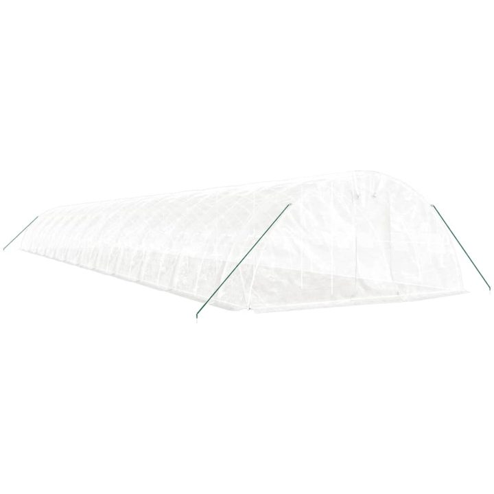 Växthus med stålram vit 120 m² vidaXL 24 x 5 x 2.3 m – bild 3