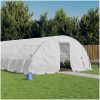 Växthus med stålram vit 120 m² vidaXL 24 x 5 x 2.3 m – miniatyr 1