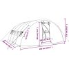Växthus med stålram vit 20 m² vidaXL 5 x 4 x 2.3 m – miniatyr 12