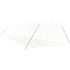 Växthus med stålram vit 36 m² vidaXL 12 x 3 x 2 m – miniatyr 3