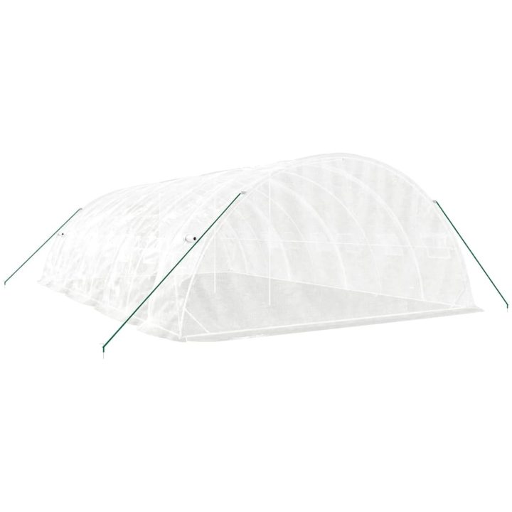 Växthus med stålram vit 40 m² vidaXL 8 x 5 x 2.3 m – bild 6