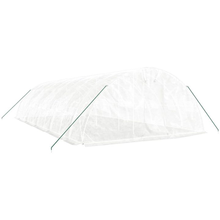 Växthus med stålram vit 50 m² vidaXL 10 x 5 x 2.3 m – bild 3