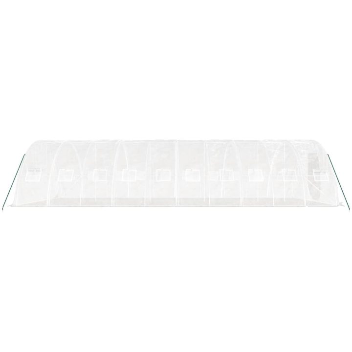 Växthus med stålram vit 50 m² vidaXL 10 x 5 x 2.3 m – bild 5