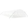 Växthus med stålram vit 80 m² vidaXL 16 x 5 x 2.3 m – miniatyr 6