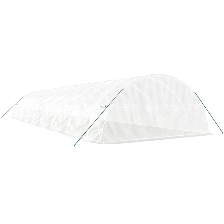 Växthus med stålram vit 80 m² vidaXL 16 x 5 x 2.3 m – bild 6