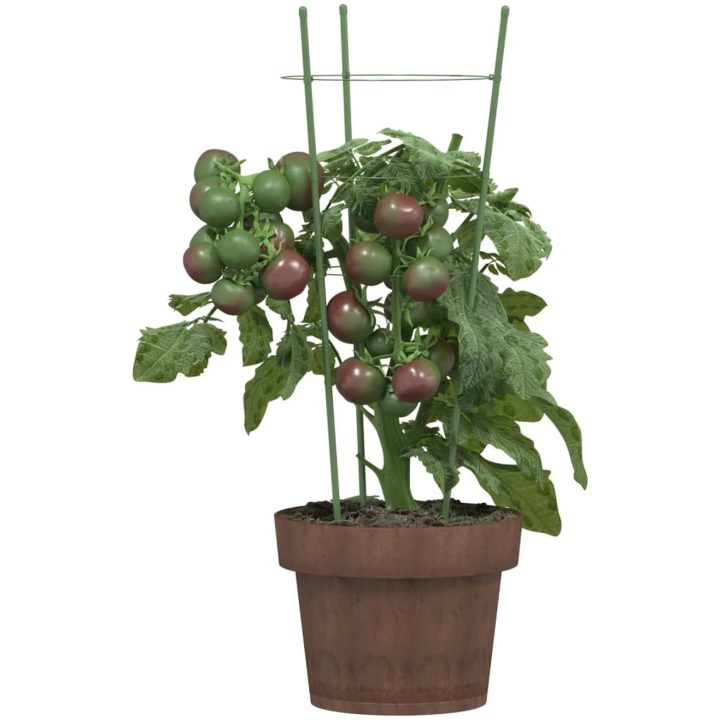 Växtstöd med 3 ringar 5 st grön 45 cm stål vidaXL 18 x 45 cm – bild 3