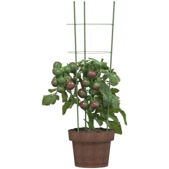 Växtstöd med 3 ringar 5 st grön 60 cm stål vidaXL 21.5 x 60 cm – bild 3