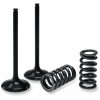 Ventil Insug STÅL Prox INTAKE VALVE/SPRING KIT – miniatyr 1
