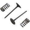 Ventil Insug STÅL Prox INTAKE VALVE/SPRING KIT – miniatyr 2