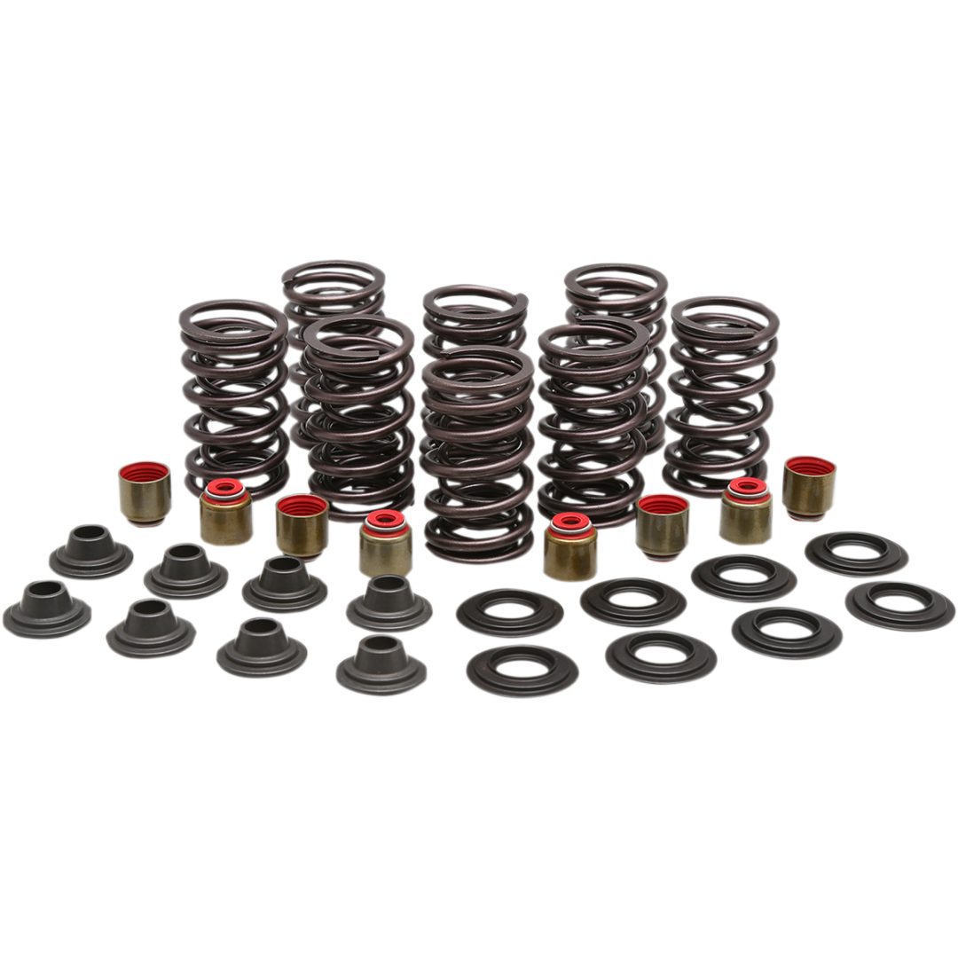 Ventilfjäder Kit KIBBLEWHITE