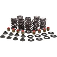 Ventilfjäder Kit KIBBLEWHITE