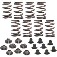 Ventilfjäderkit Beehive COMP CAMS