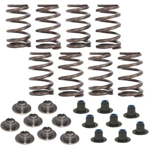 Ventilfjäderkit Beehive COMP CAMS