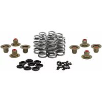 Ventilfjäderkit Beehive Racing Kromsilikon KIBBLEWHITE
