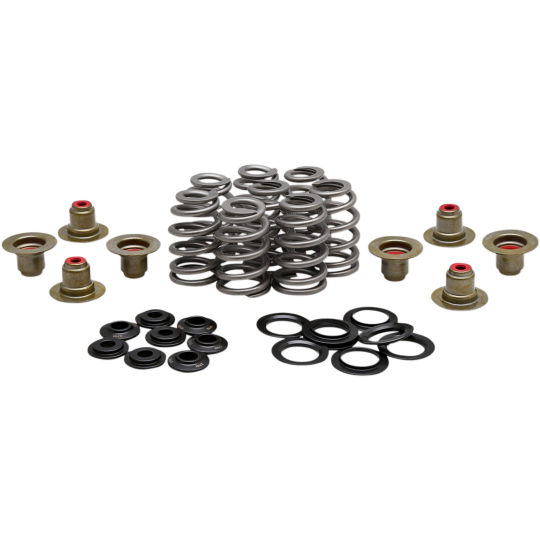 Ventilfjäderkit Bhive M8 .625 Stål KIBBLEWHITE