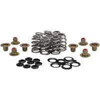 Ventilfjäderkit Bhive M8 .625 Stål KIBBLEWHITE