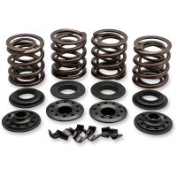 Ventilfjäderkit OEM Replacement KIBBLEWHITE