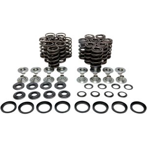 Ventilfjäderkit Racing Titanium KIBBLEWHITE