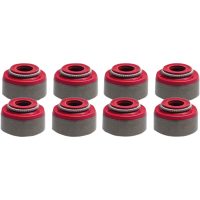 Ventilguidetätning Viton KIBBLEWHITE