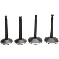 Ventilkitt Black Diamond Stainless Steel KIBBLEWHITE