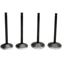 Ventilkitt Black Diamond Stainless Steel KIBBLEWHITE