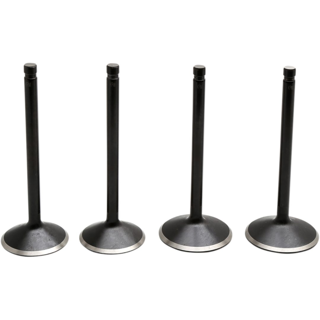 Ventilkitt Black Diamond Stainless Steel KIBBLEWHITE