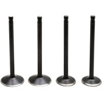 Ventilkitt Black Diamond Stainless Steel KIBBLEWHITE